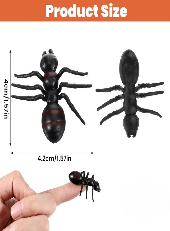 LUDALY Realistic Ants Halloween Prank Toys for Halloween Party Decoration, April Fool’s Day Props (Pack of 12) - Image 3